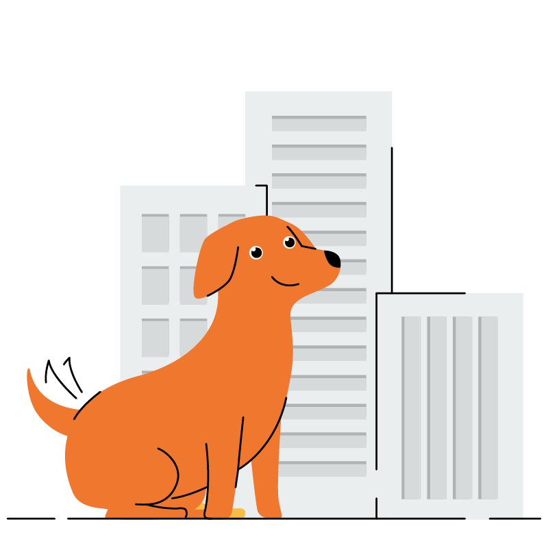 Attività di Semplice-mente Cane di Debora Boschii istruttore cinofilo